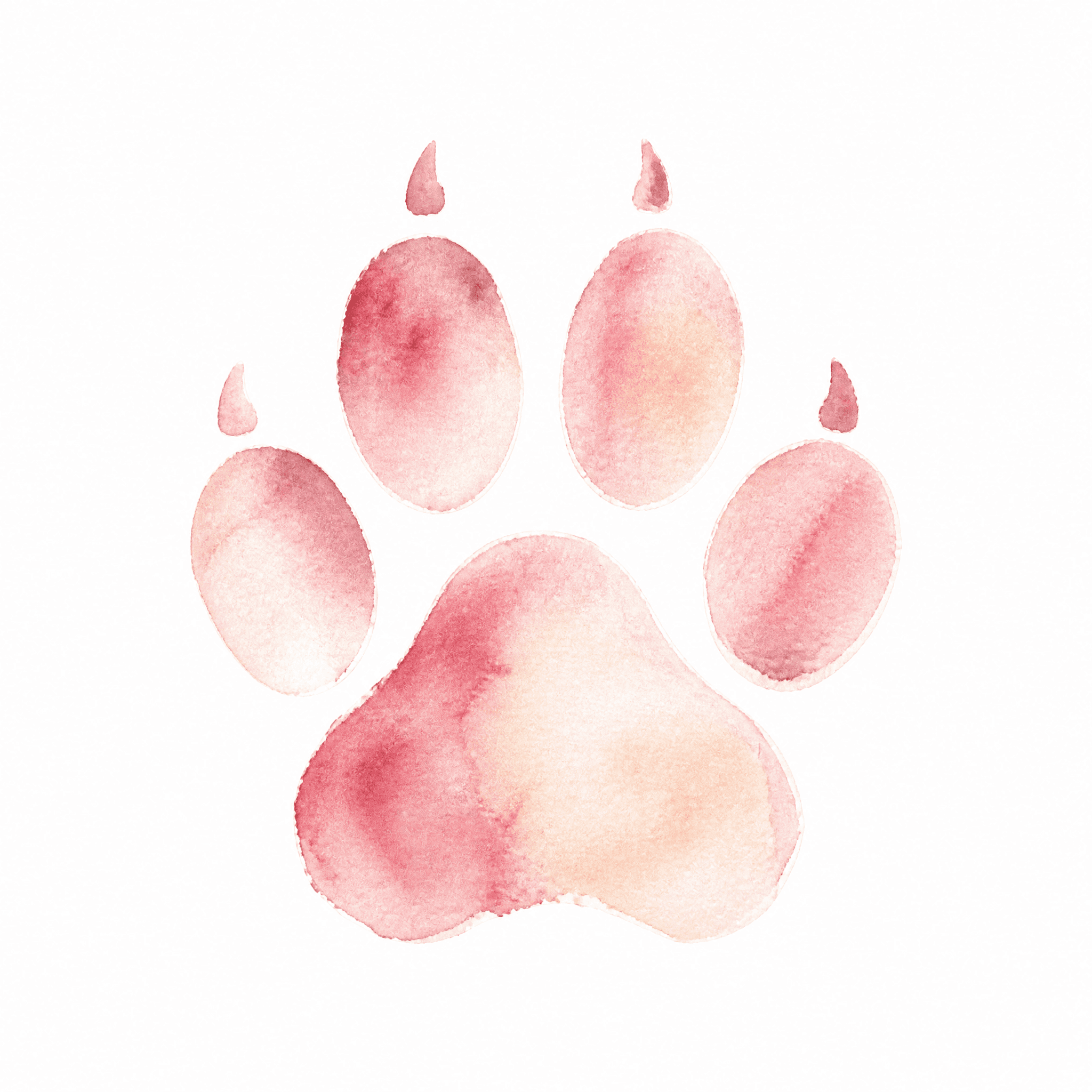 Affiche Empreinte de Patte — aquarelle chat