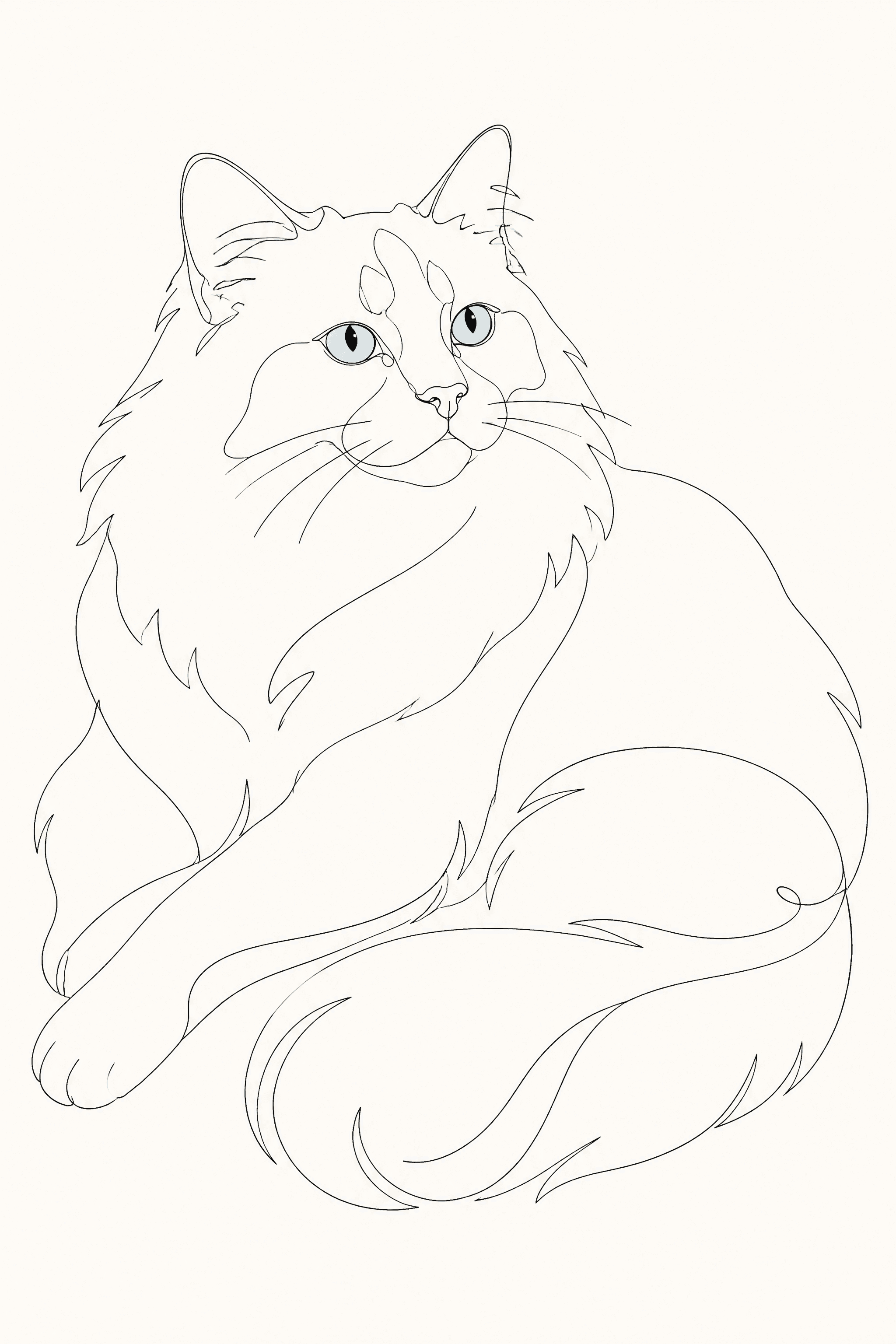 Affiche Ragdoll — portrait line art