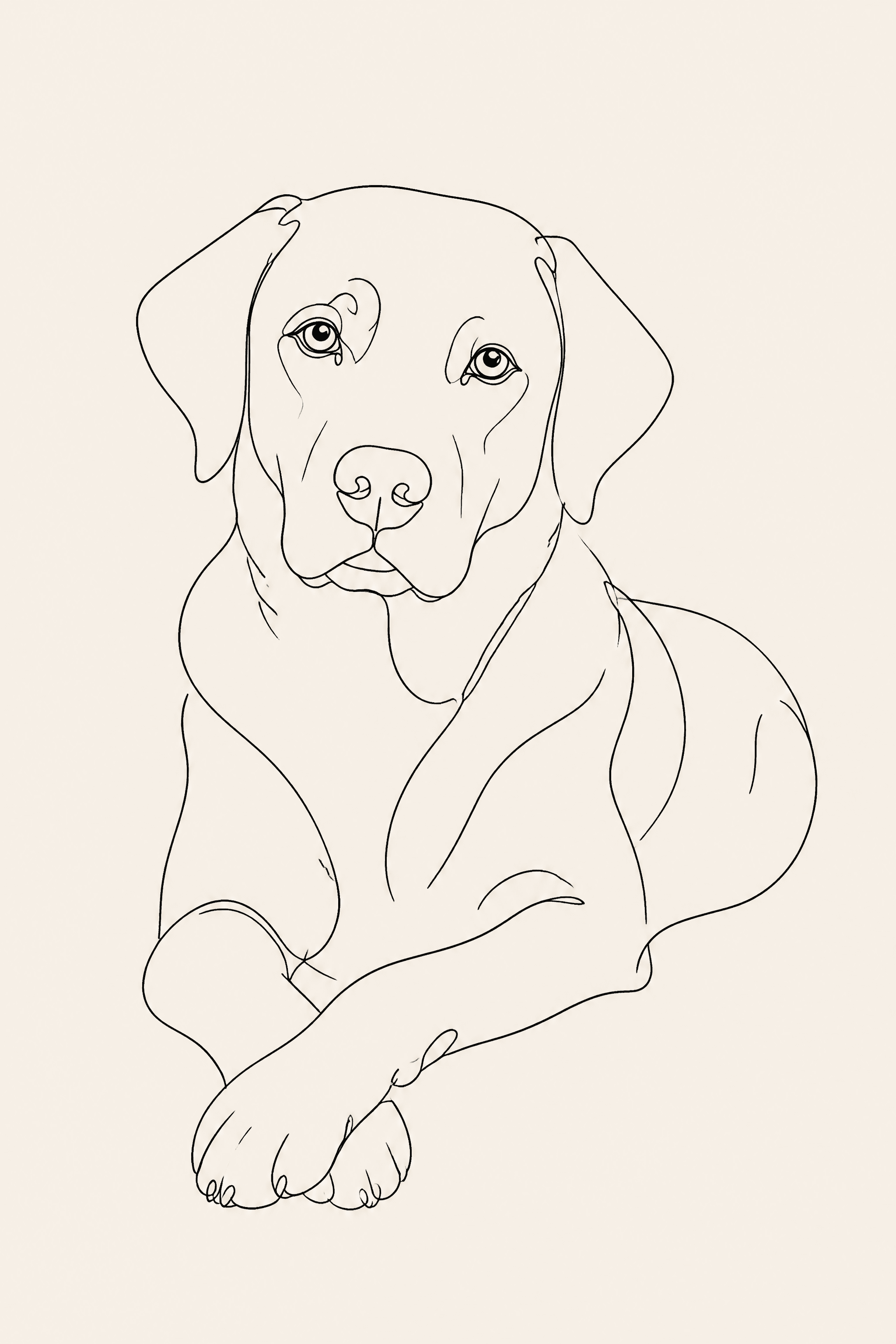 Affiche Labrador — portrait line art