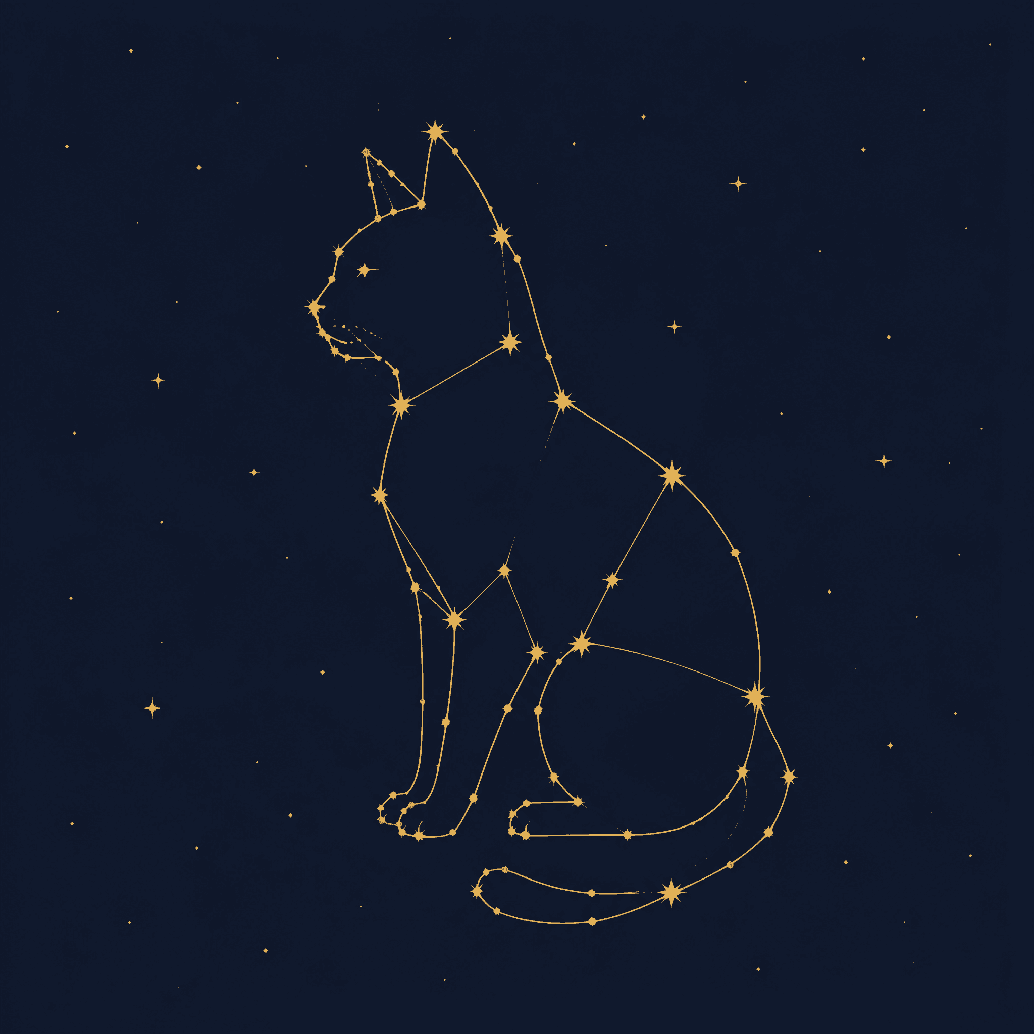 Affiche Constellation Chat — céleste et minimal