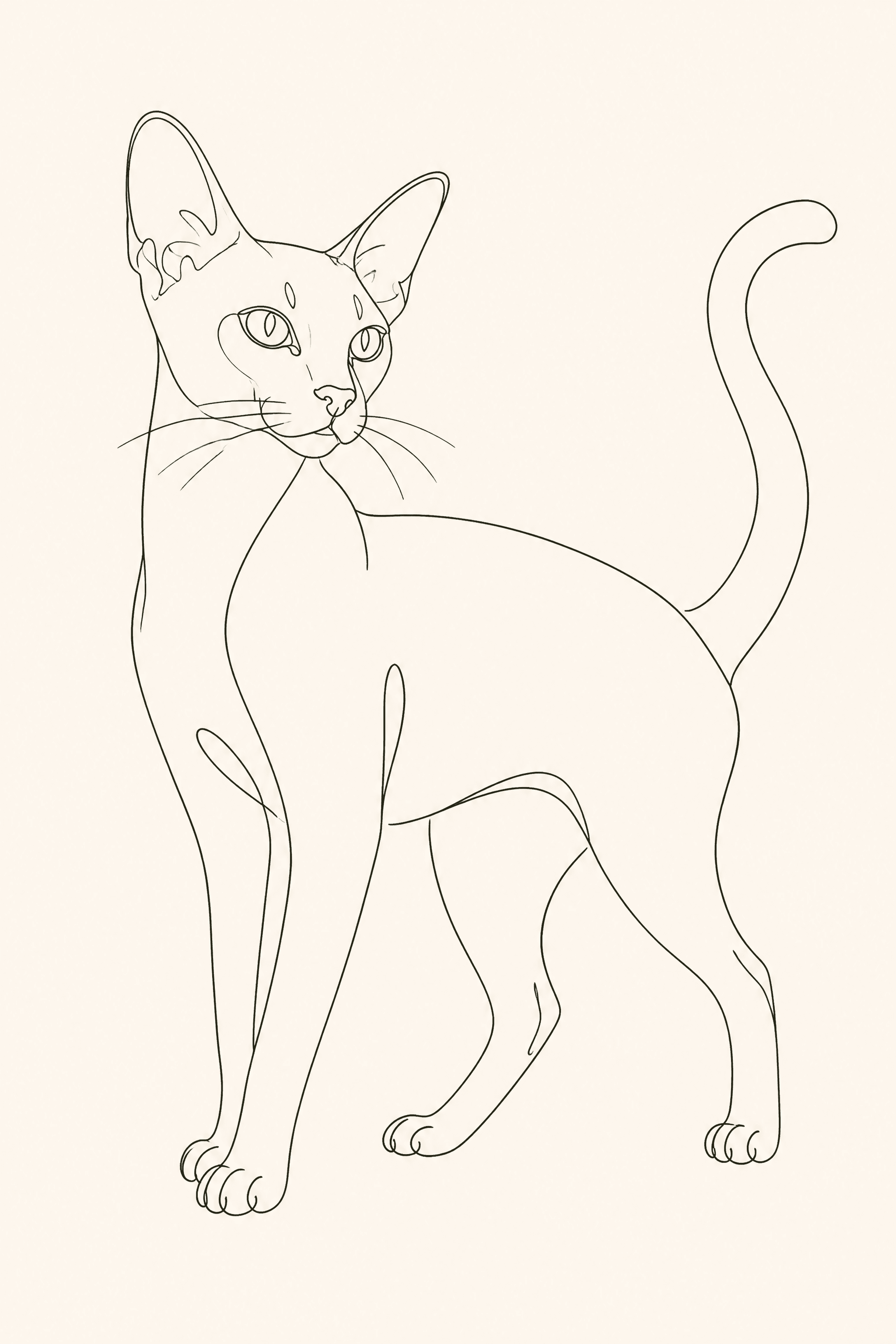 Affiche Abyssin — portrait line art
