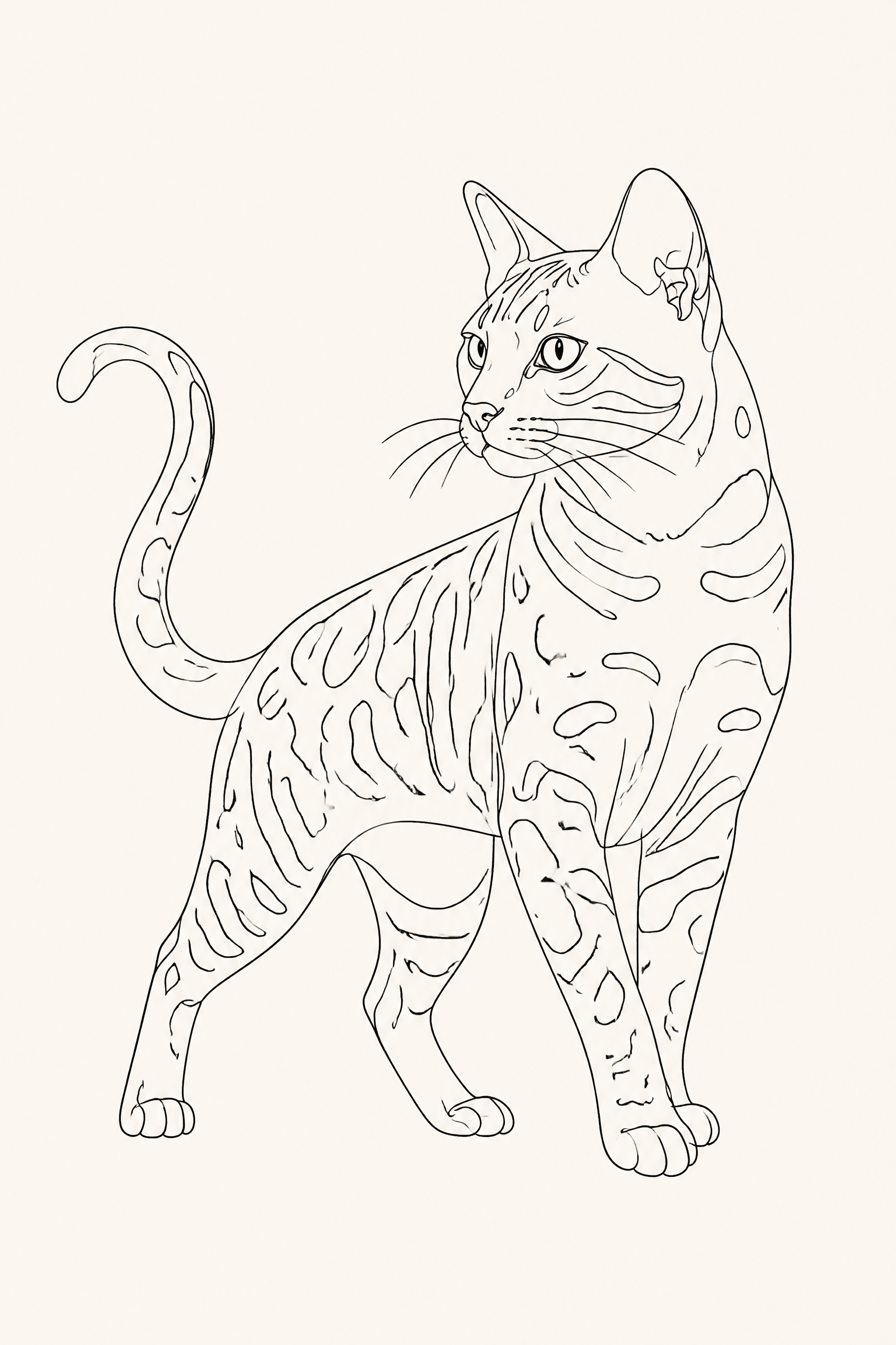 Affiche Bengal — portrait line art