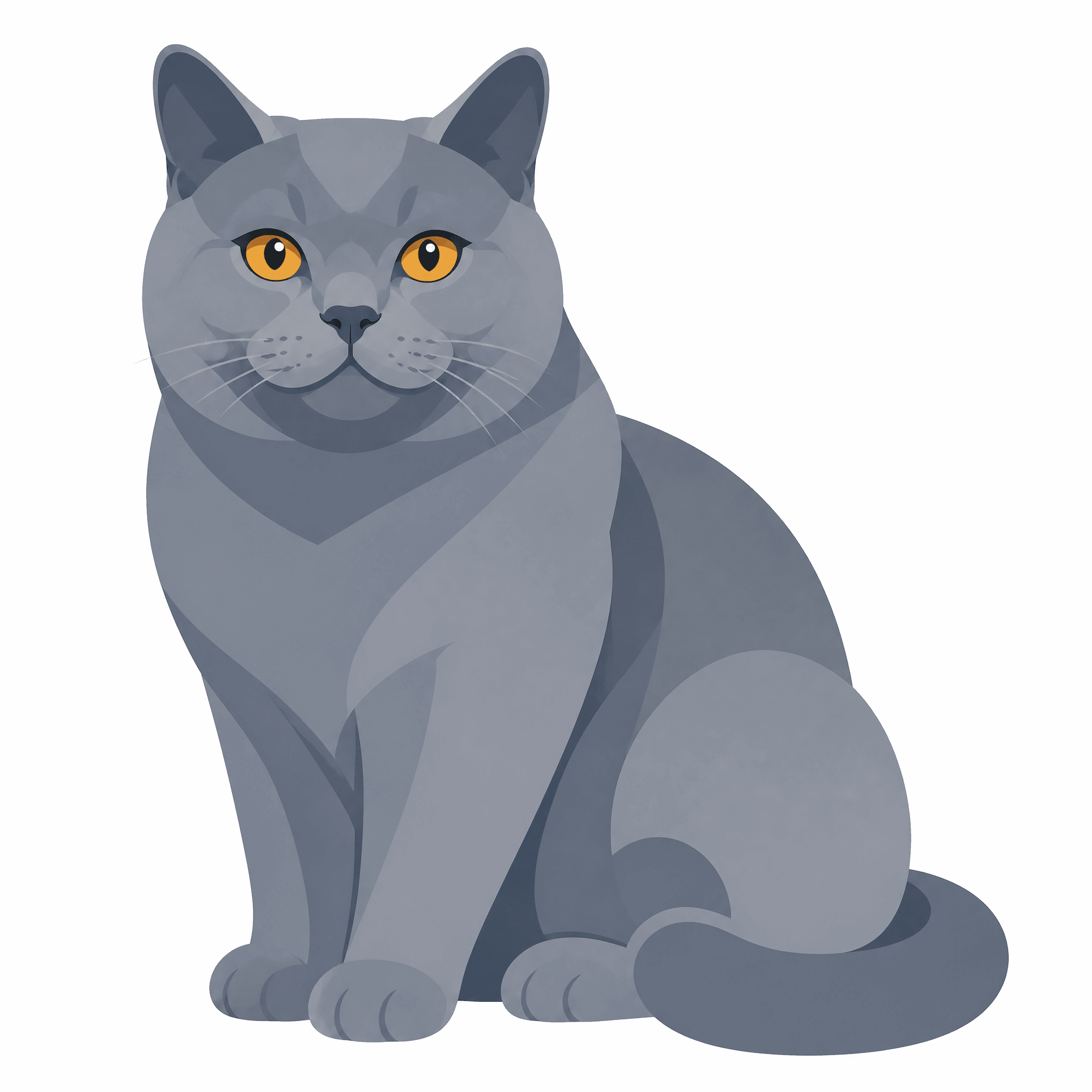Affiche Chartreux — portrait flat graphic