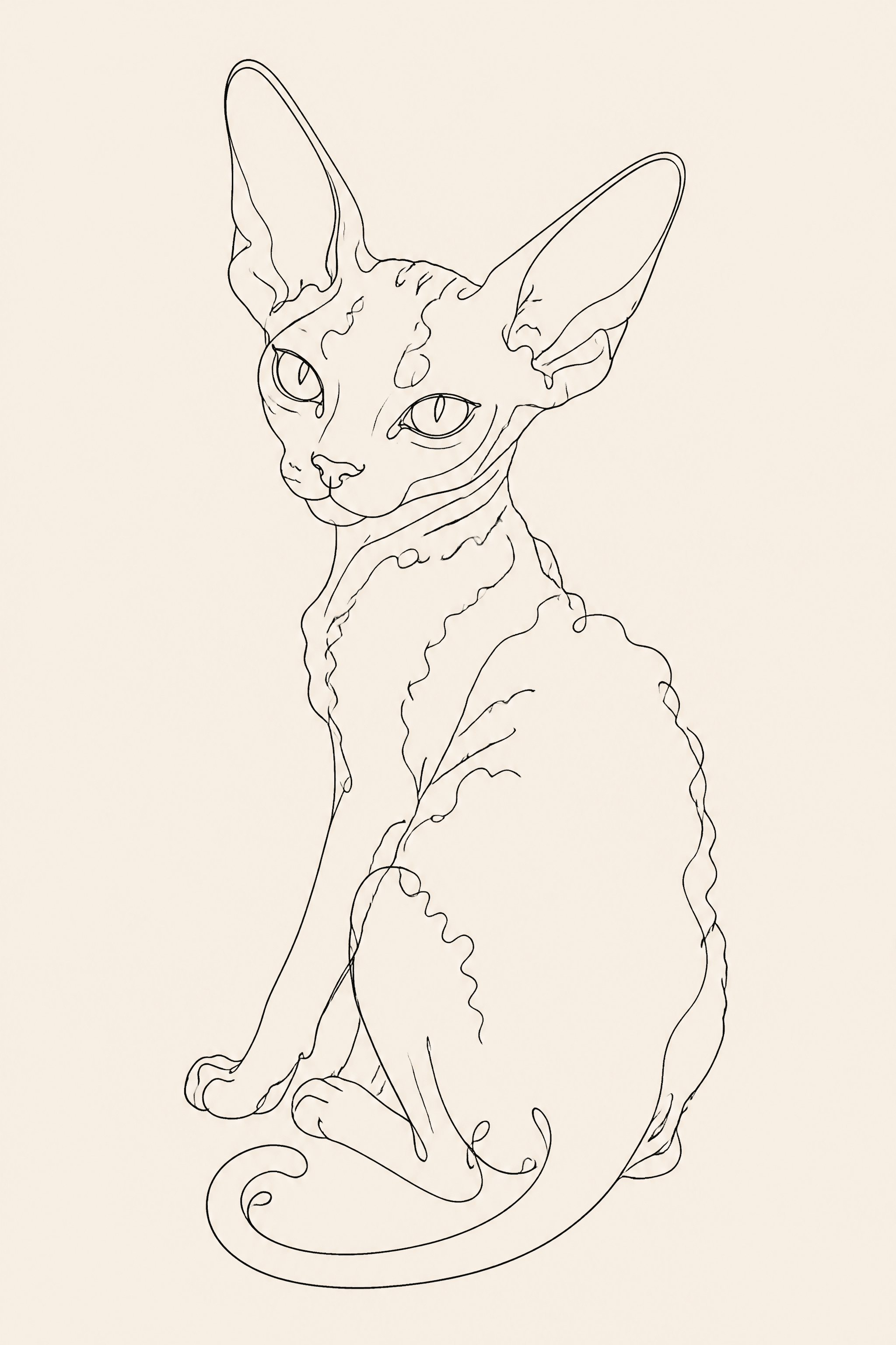 Affiche Devon Rex — portrait line art