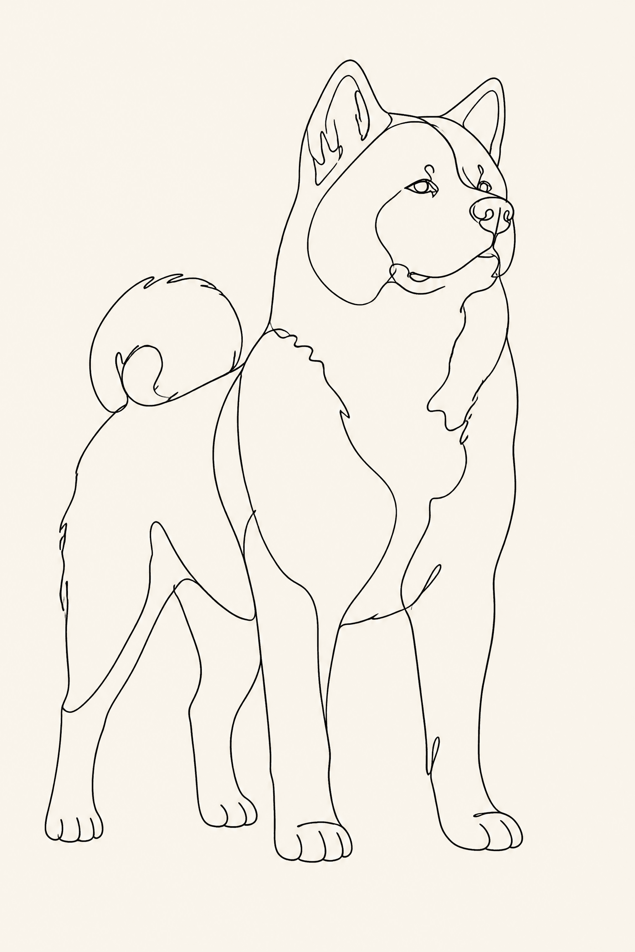 Affiche Akita Inu — portrait line art