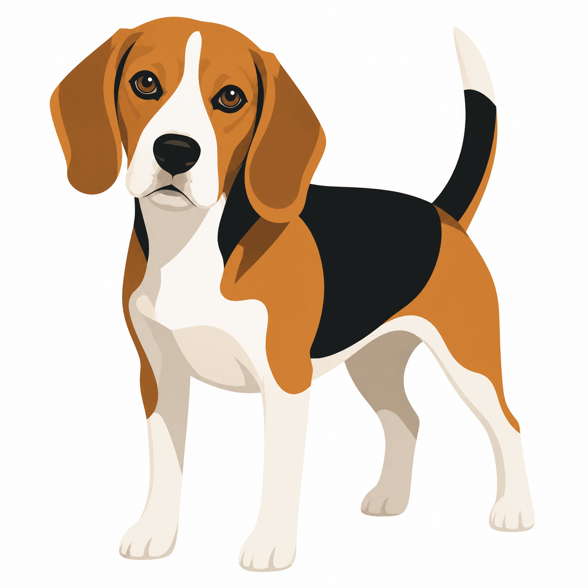 Affiche Beagle — portrait flat graphic