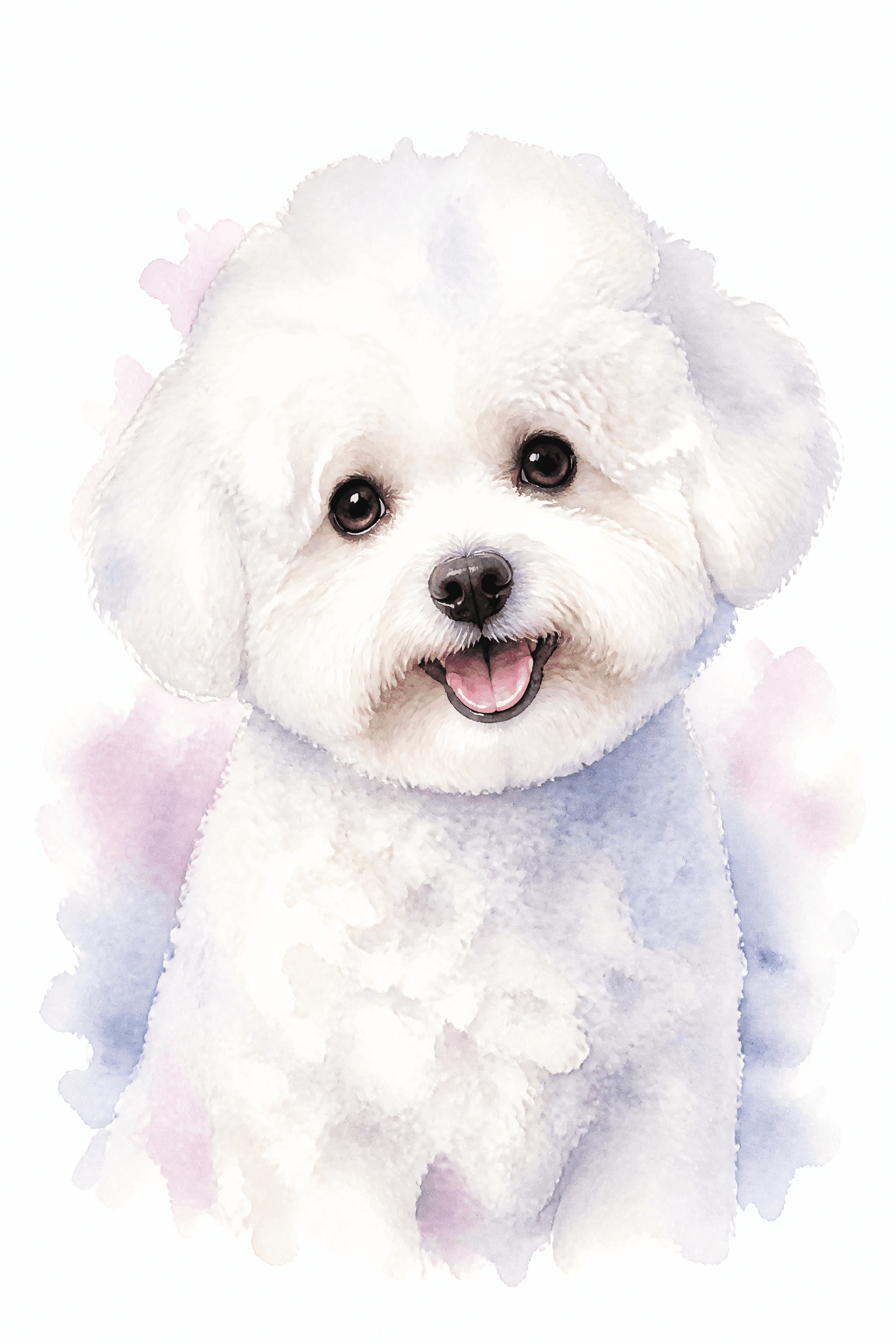 Affiche Bichon Frisé — portrait aquarelle