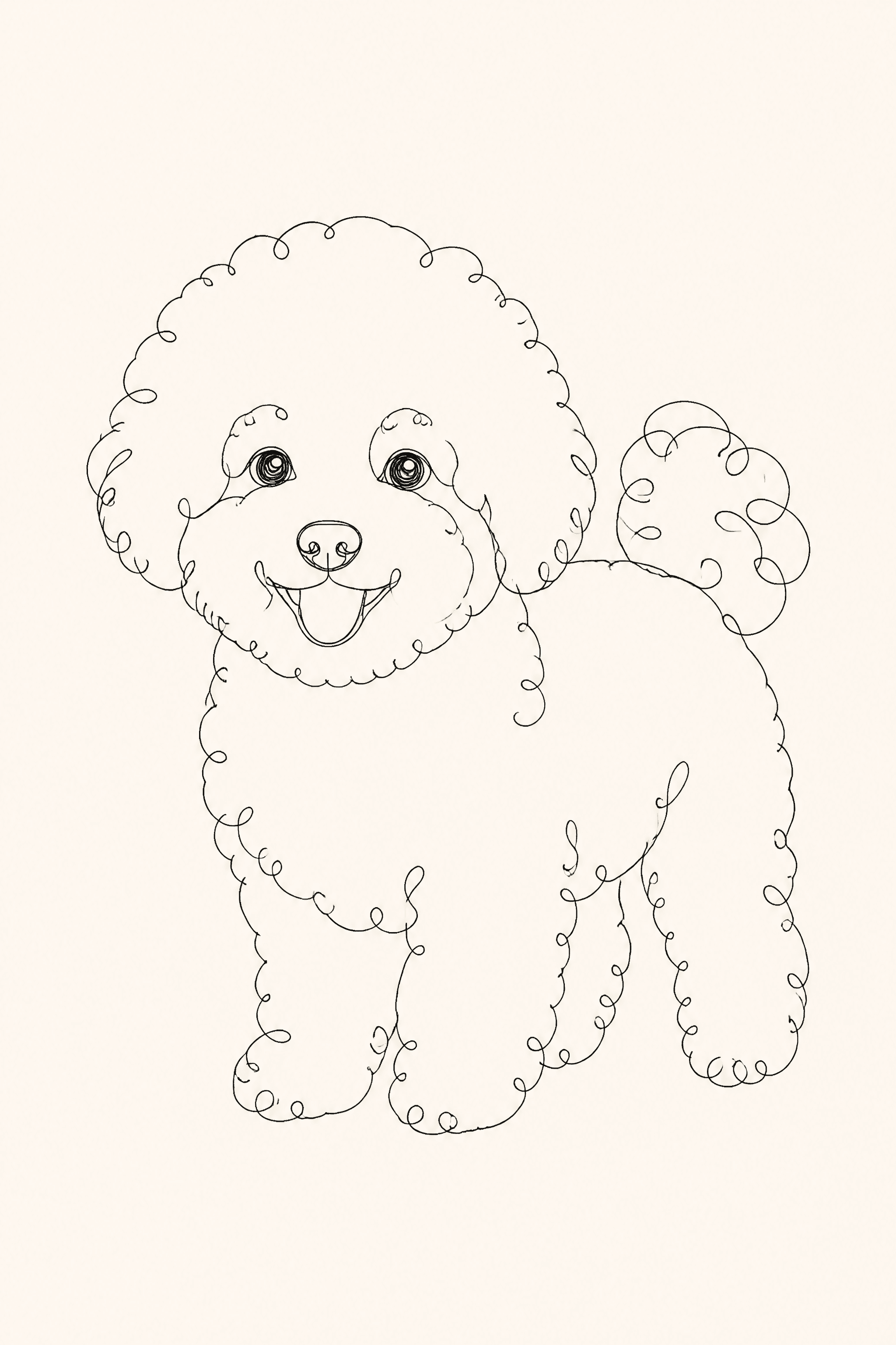 Affiche Bichon Frisé — portrait line art