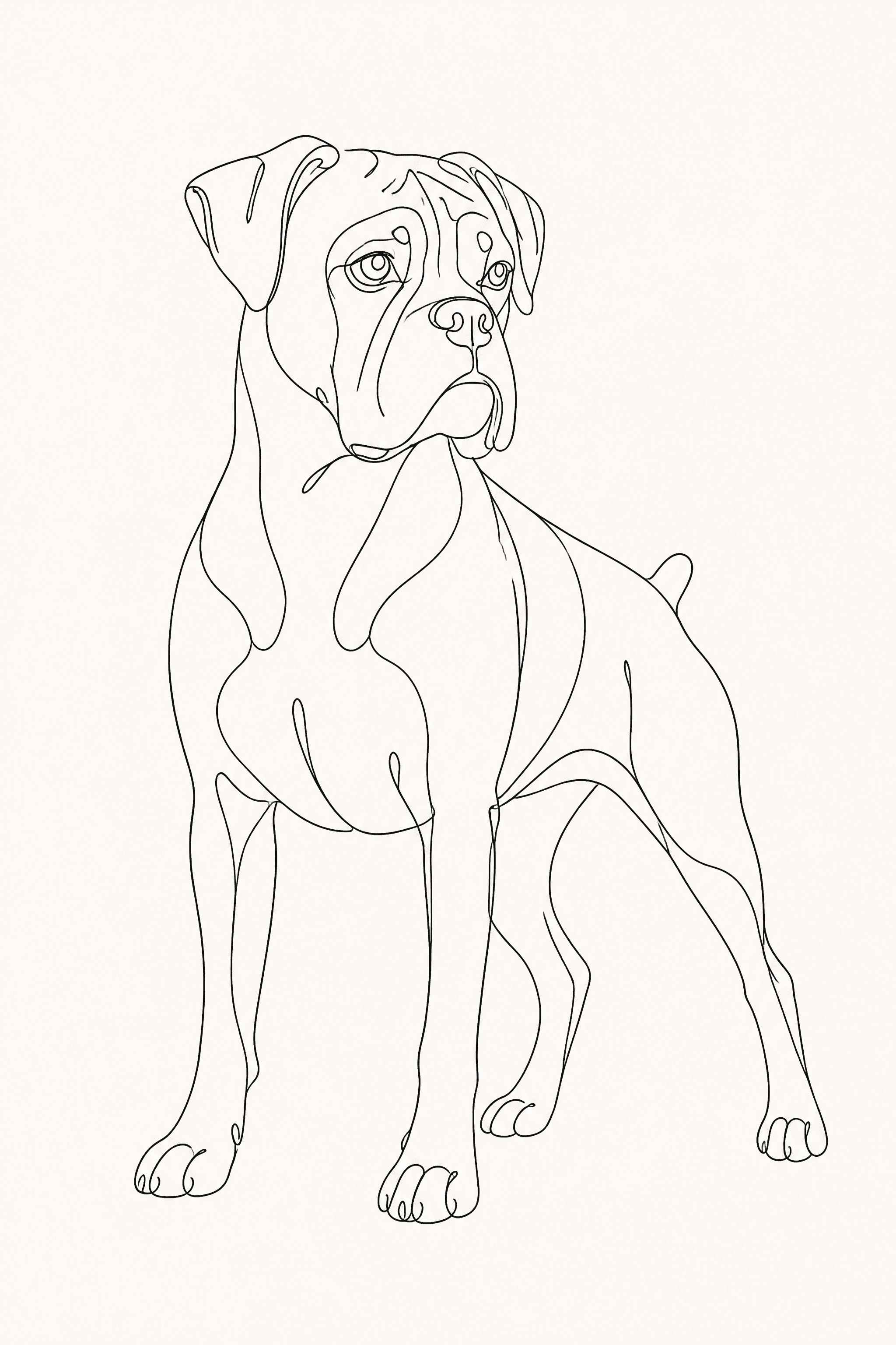 Affiche Boxer — portrait line art