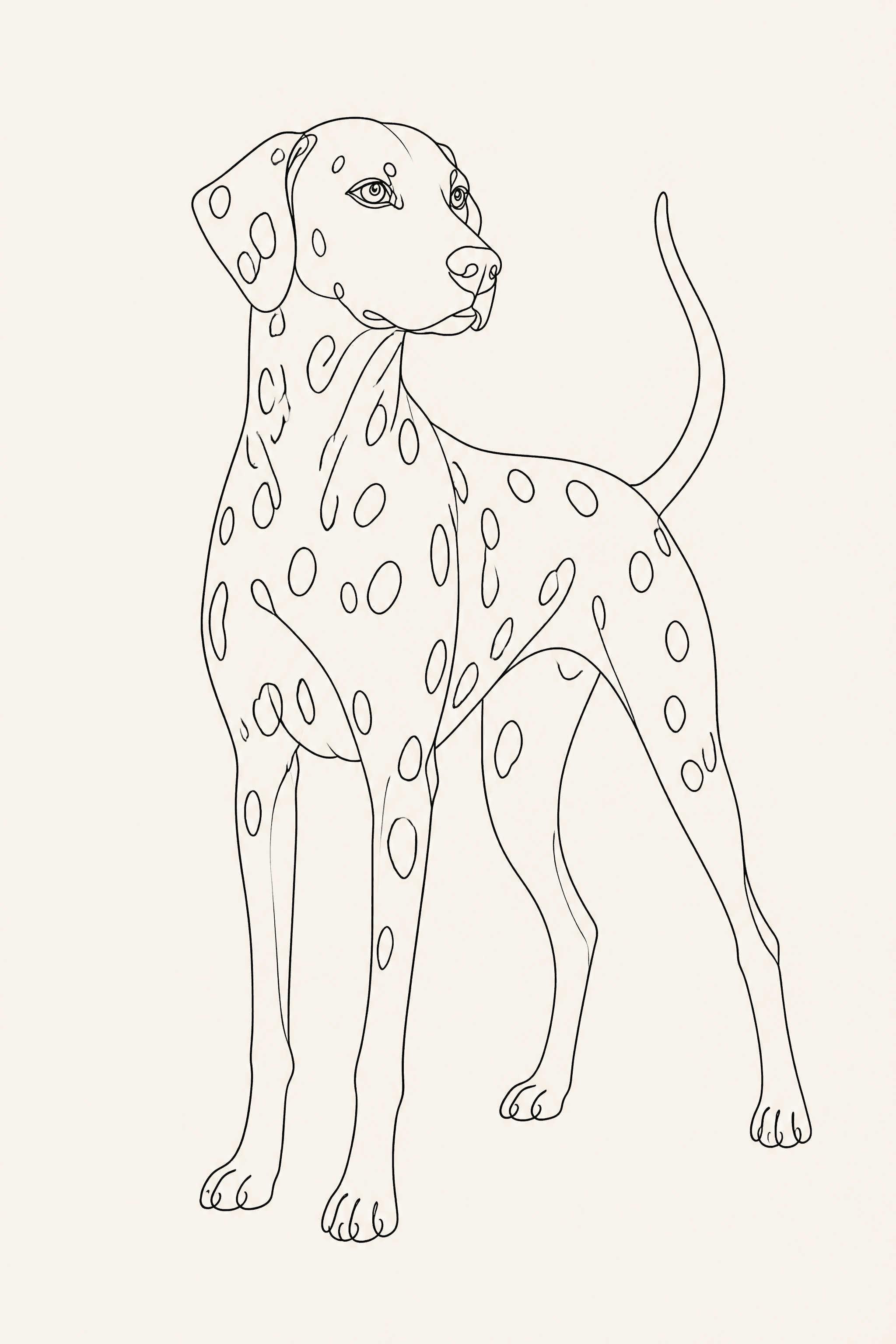 Affiche Dalmatien — portrait line art