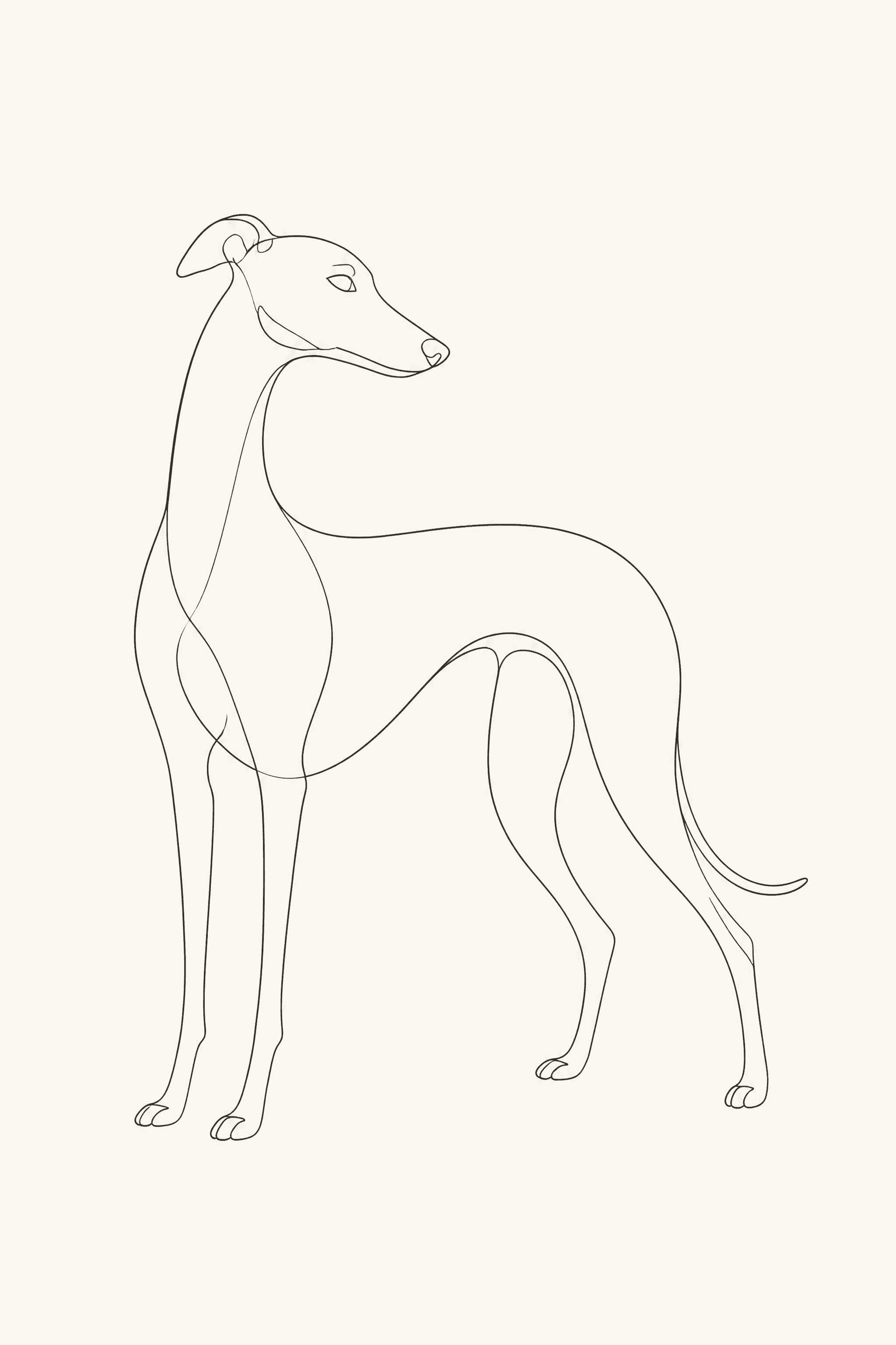 Affiche Lévrier Greyhound — portrait line art