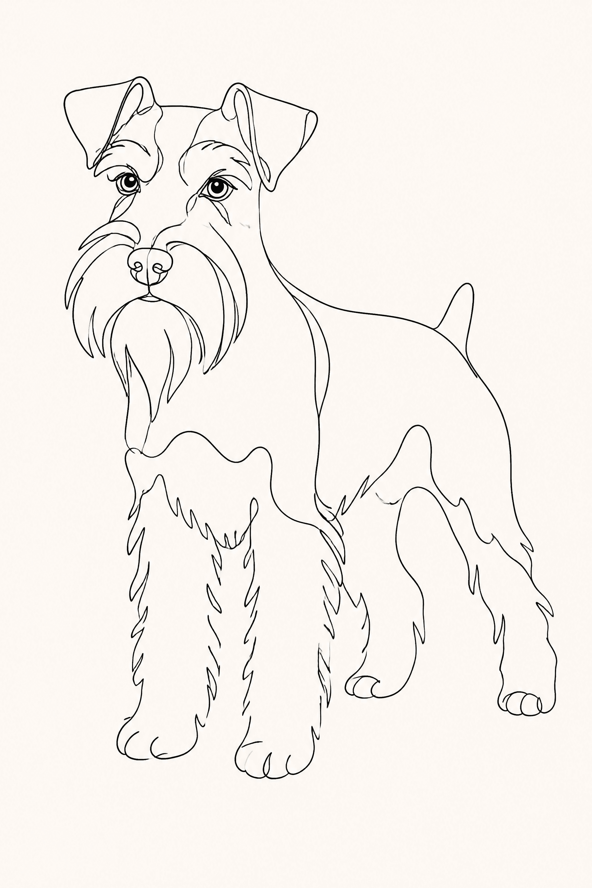 Affiche Schnauzer Nain — portrait line art