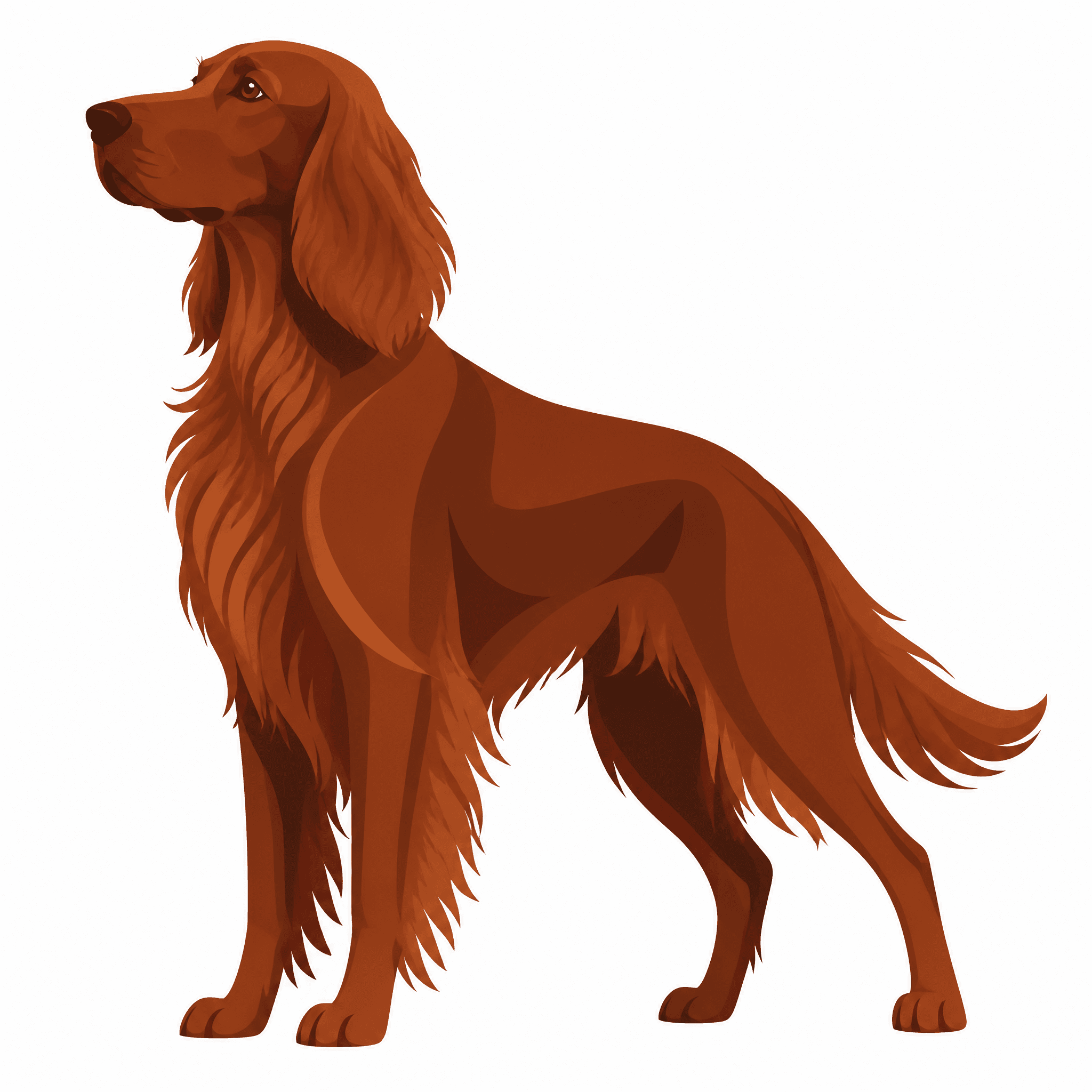 Affiche Setter Irlandais — portrait flat graphic