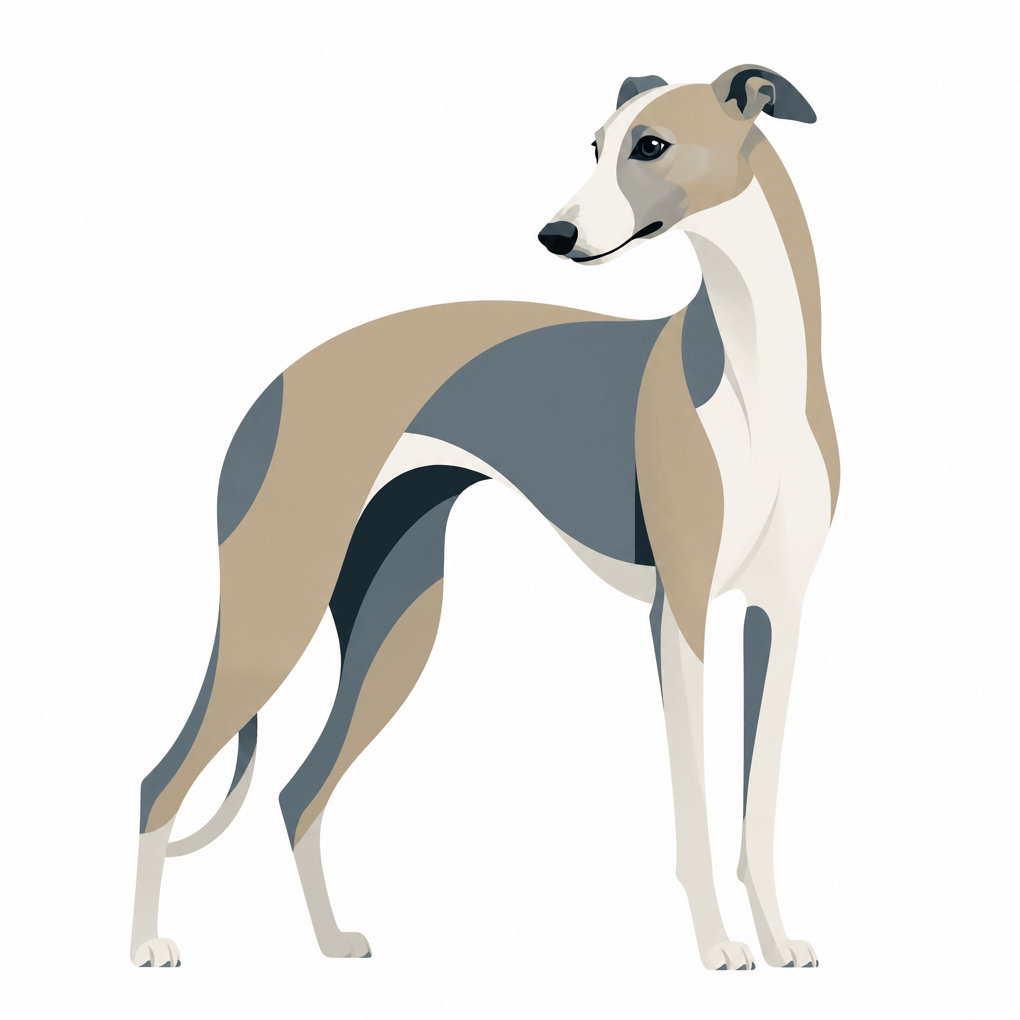 Aquarelle, line art ou flat graphic : quel style choisir pour son animal prefere