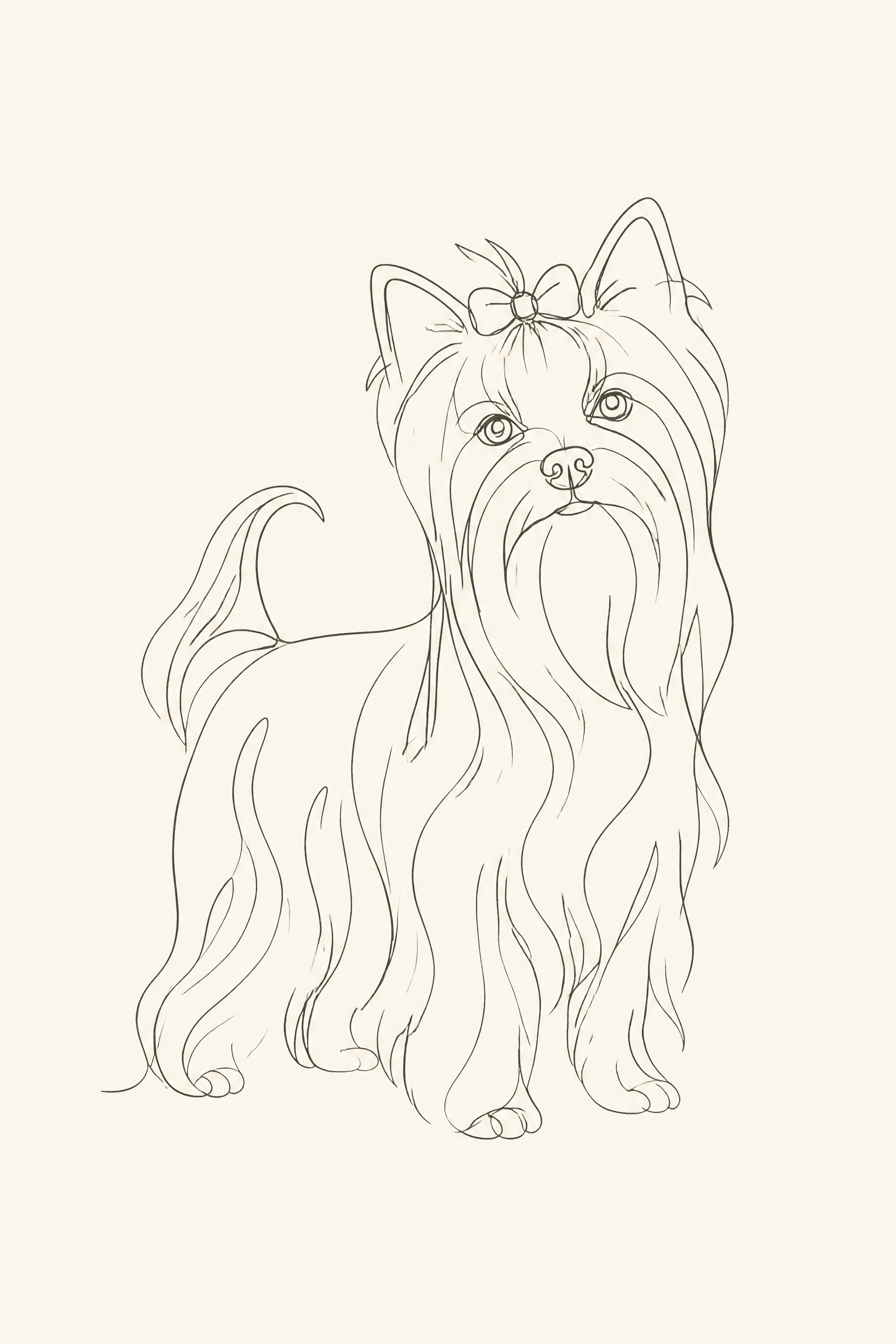 Affiche Yorkshire Terrier — portrait line art